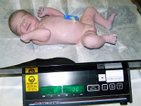 1 mesic obr02