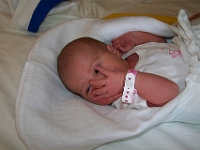 1 mesic obr12