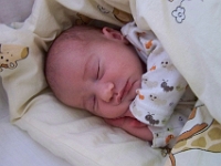 1 mesic obr26