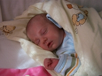 1 mesic obr34