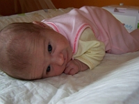 1 mesic obr44