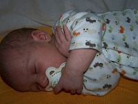1 mesic obr52