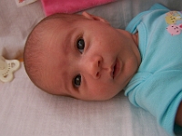 1 mesic obr58