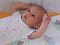 2 mesic obr09