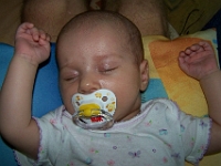 2 mesic obr11