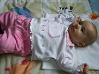 3 mesic obr20