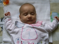 3 mesic obr21