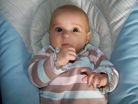 4 mesic obr10