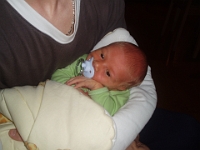 1 mesic obr24