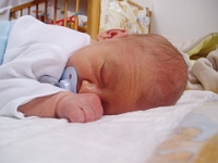 1 mesic obr30