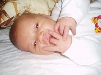 1 mesic obr34