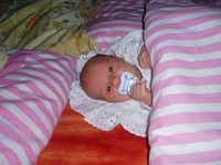 1 mesic obr39