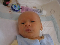 2 mesic obr09
