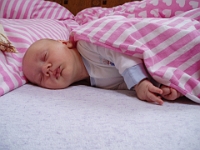 3 mesic obr08