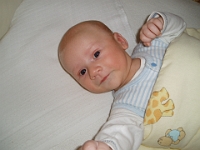 3 mesic obr30