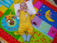 3 mesic obr94
