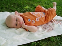 4 mesic obr074