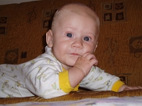 6 mesic obr33