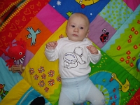 7 mesic obr38
