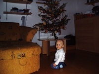10 mesic obr31
