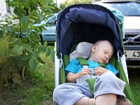 29 mesic obr29