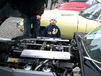 31 mesic obr32