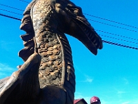 IMAG0941
