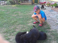 IMAG0943